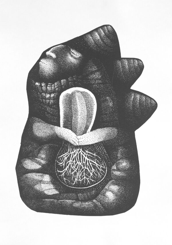 Conexiones - Imagen 2