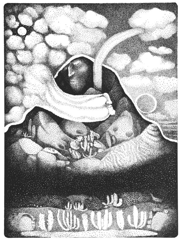 Mágico y silencioso - Imagen 2
