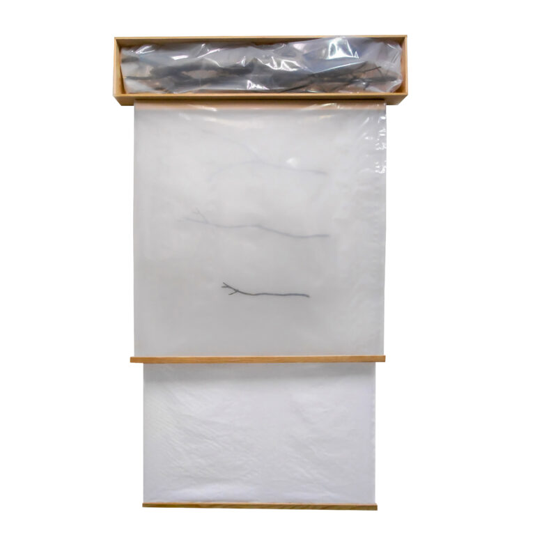 Recinto de la niebla